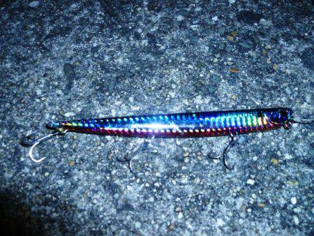 バチは無くとも