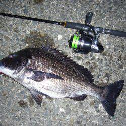 チニングにてようやく本命をGET(σ・∀・)σｹﾞｯﾂ!!