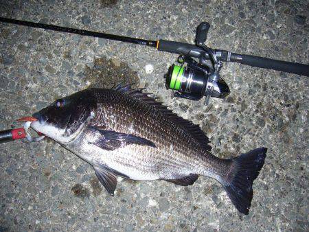 チニングにてようやく本命をGET(σ・∀・)σｹﾞｯﾂ!!