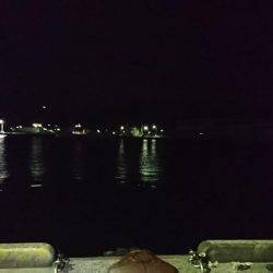 コウイカエギング