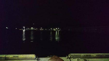 コウイカエギング