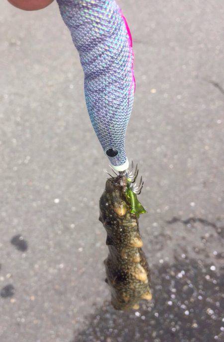 3ヶ月ぶりの獲物