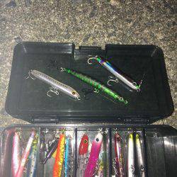 爆風メバリング