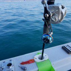 遊漁船 ニライカナイ 釣果