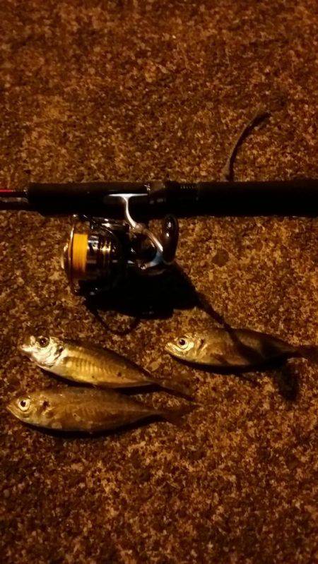 アジングのちサーべリング