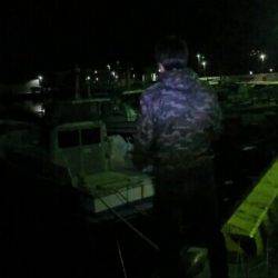 メバリング! アジング!