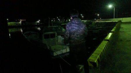 メバリング! アジング!