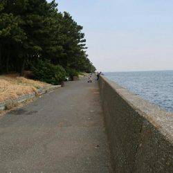 福浦岸壁でブラクリ穴釣り