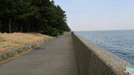 福浦岸壁でブラクリ穴釣り