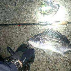 久びさのチニング♪