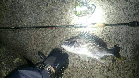 久びさのチニング♪