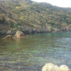 ナイト〜朝マズメエギング