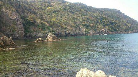 ナイト〜朝マズメエギング