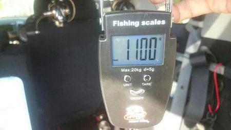 春らしいエギング