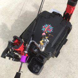 長いのよりも短いの。