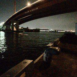 メバル プラグとフロート