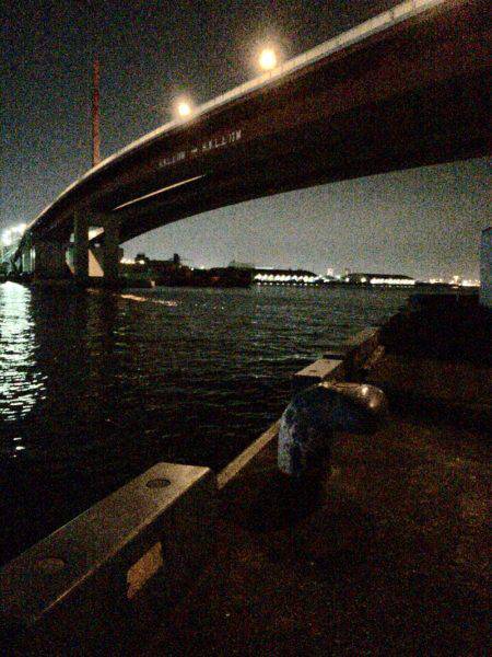 メバル プラグとフロート