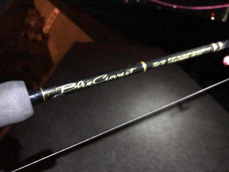 強風メバリング