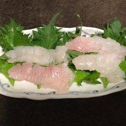 ガシラ  小潮  昼便