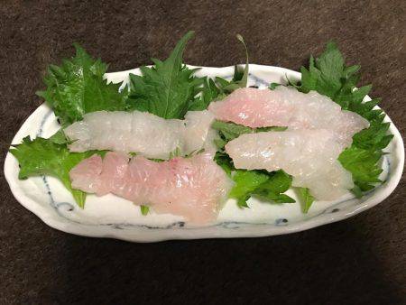 ガシラ  小潮  昼便