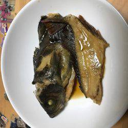 ナイトガシリング&朝まずめメバリング