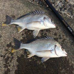 水潮には勝てず