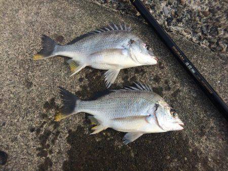 水潮には勝てず