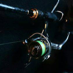 プラッキング メバル