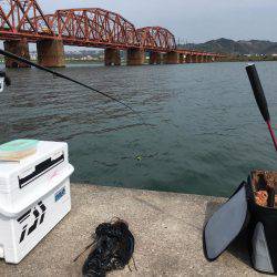 紀ノ川チヌ終了？