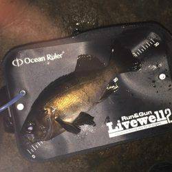 はじまりましたね！