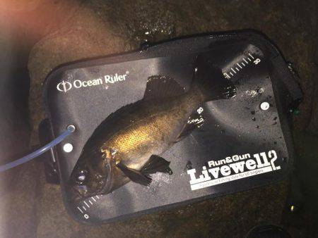 はじまりましたね！