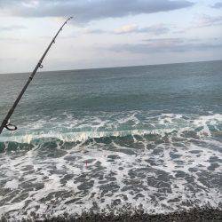 和歌山遠征ライトショアジギング！