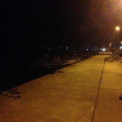 垂水漁港でメバリング!!