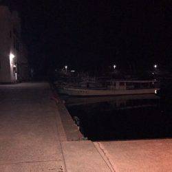 ナイトフィッシング(メバリング)