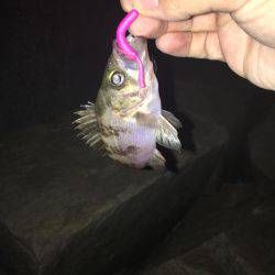 仕事終わりに。