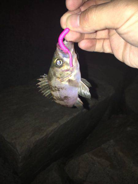 仕事終わりに。