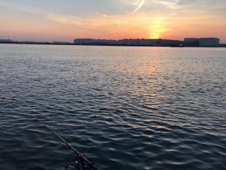 南港でエビ撒き！良型チヌも‼︎