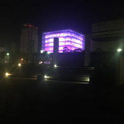 初シーバス？？