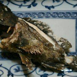 リベンジ達成メバル20cm！