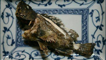 リベンジ達成メバル20cm！