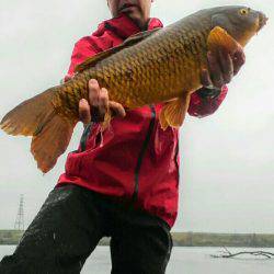 ２匹目のドジョウ狙いに