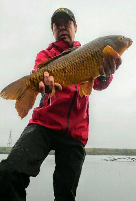 ２匹目のドジョウ狙いに