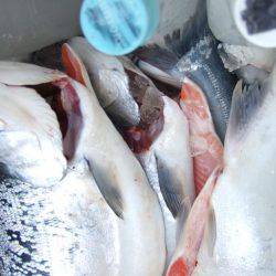 鳥取遠征２日目