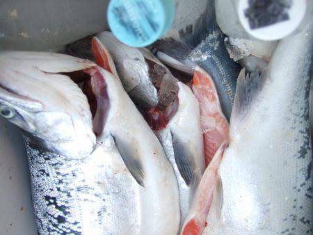 鳥取遠征２日目