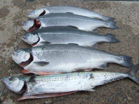 今だけの釣り。