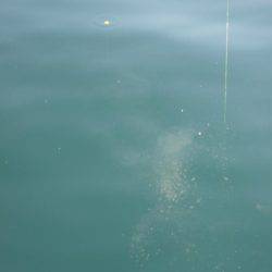 居残り、2日目。