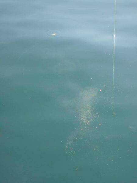 居残り、2日目。