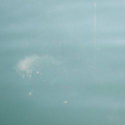 まだ、釣れるかな？