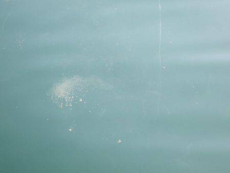 まだ、釣れるかな？