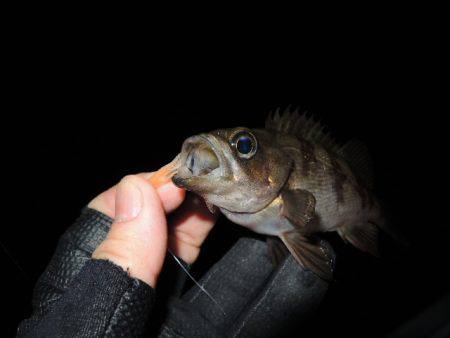 やっと２０Ｕｐ